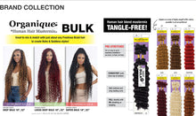 Shake-N-Go Organique Human Hair Mastermix Braids - Deep Bulk 22inch" Color 1B